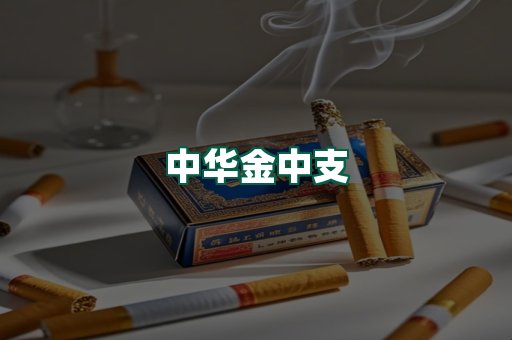 中华金中支